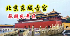 大胸美女被操的视频中国北京-东城古宫旅游风景区